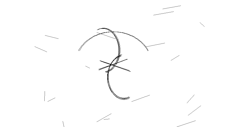anatomie na cesty