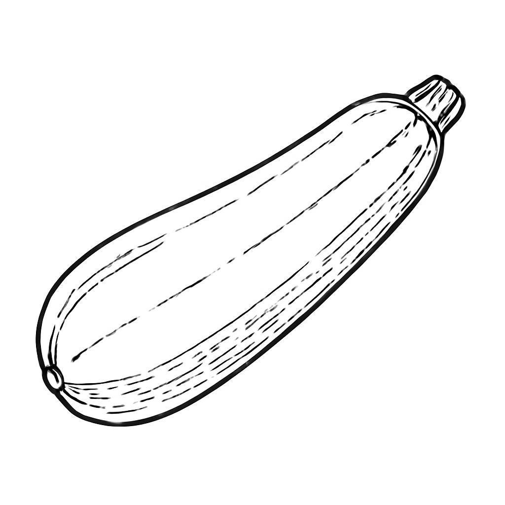 Ilustrace znázorňující téma: Recepty