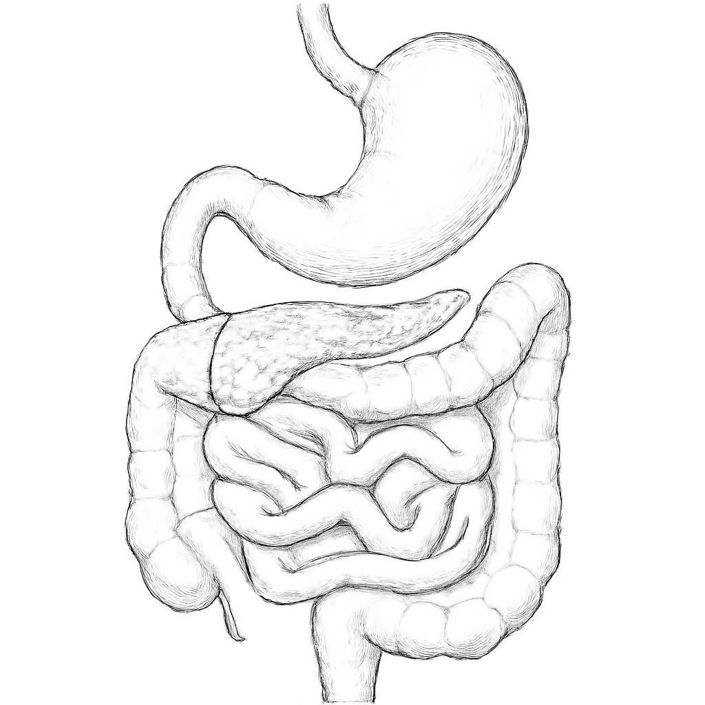 Ilustrace znázorňující téma: Připravujeme