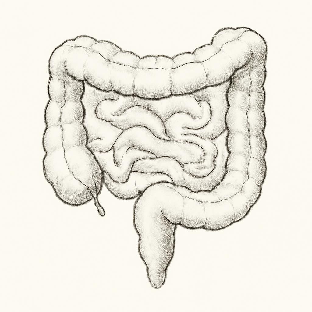 Ilustrace znázorňující téma: Připravujeme
