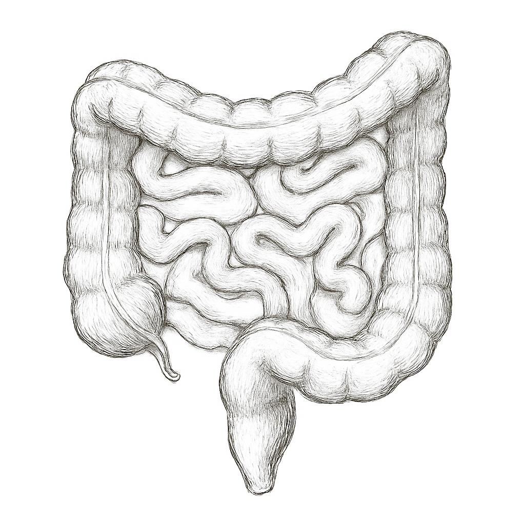 Ilustrace znázorňující téma: Připravujeme
