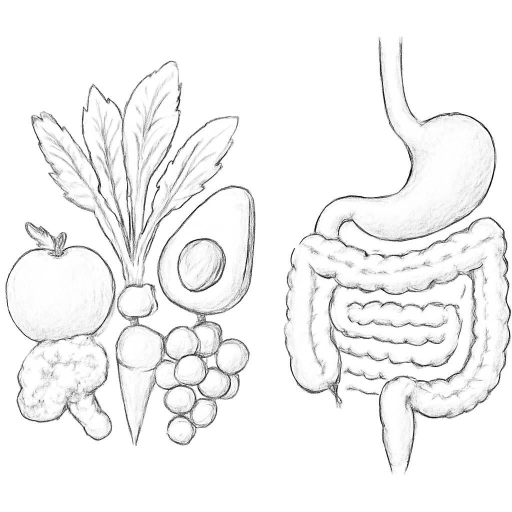 Ilustrace znázorňující téma: Připravujeme