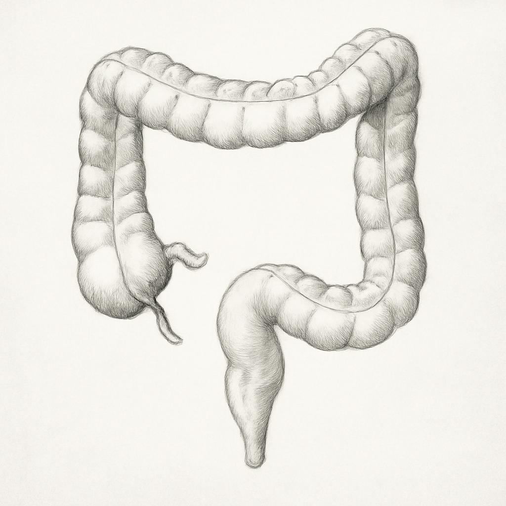 Ilustrace znázorňující téma: Připravujeme