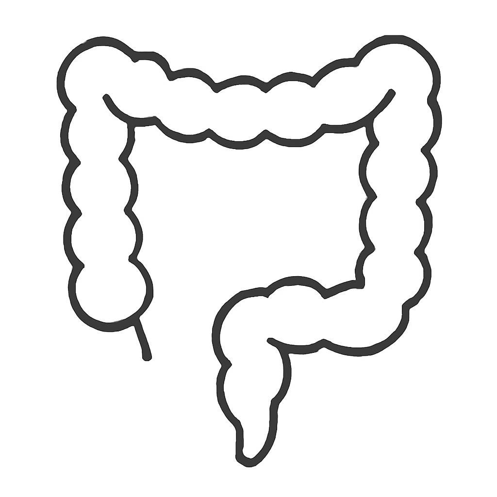 Ilustrace znázorňující téma: Zdraví