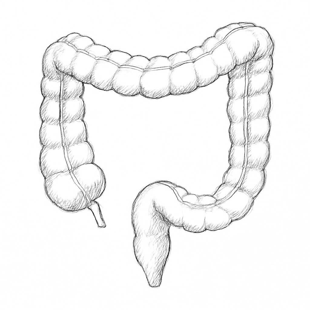 Ilustrace znázorňující téma: Zdraví