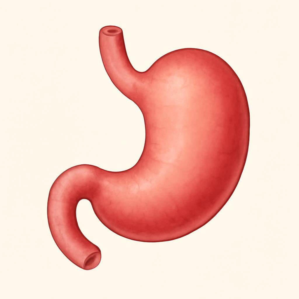 Ilustrace znázorňující téma: Připravujeme
